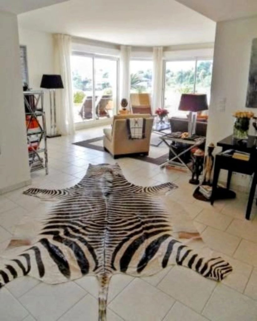 Big Burchells Zebra skin rugs